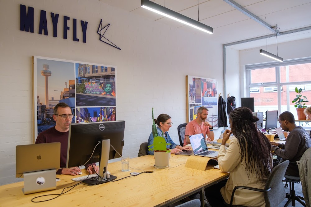 Mayfly Internet Marketing