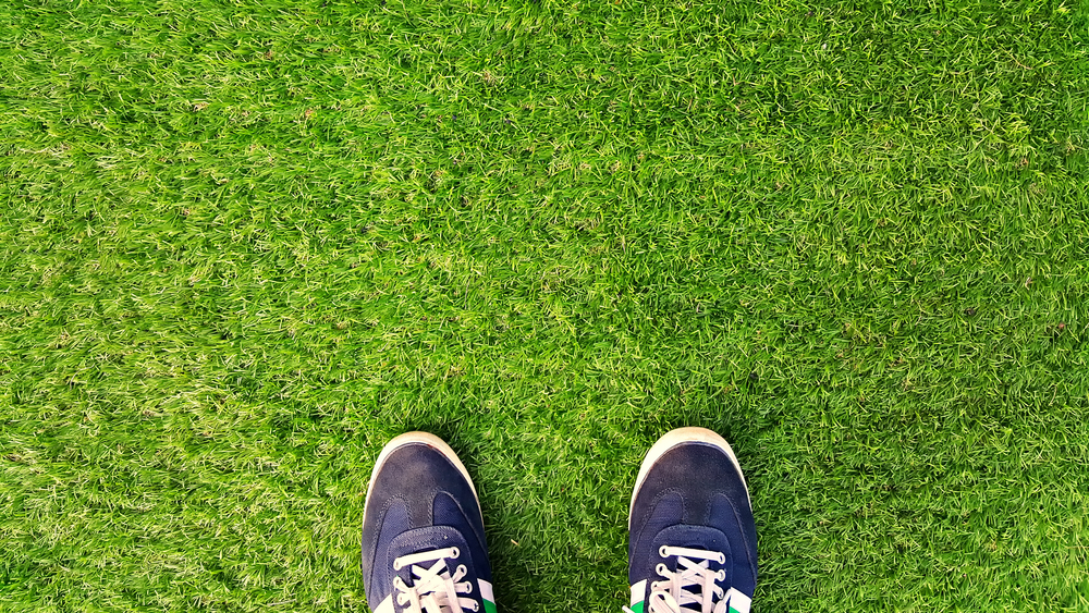 A Touch of Grass