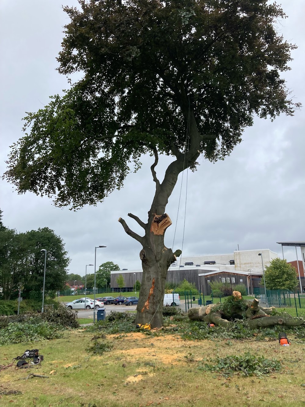 Able Tree Services | Liverpool