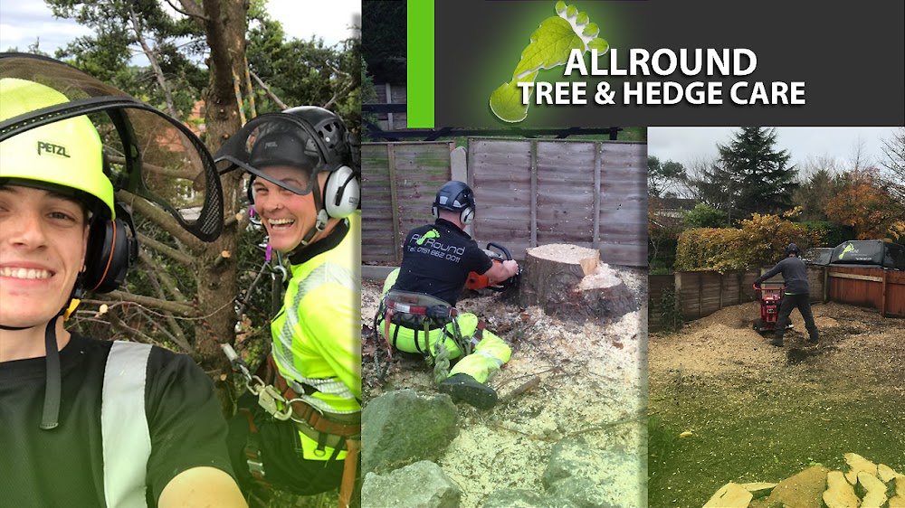 All Round Tree & Hedge Care.