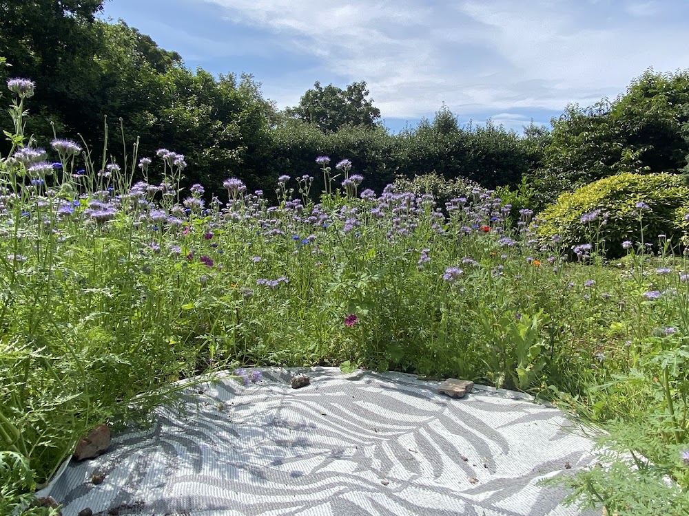C Smith Gardens & Horticulture