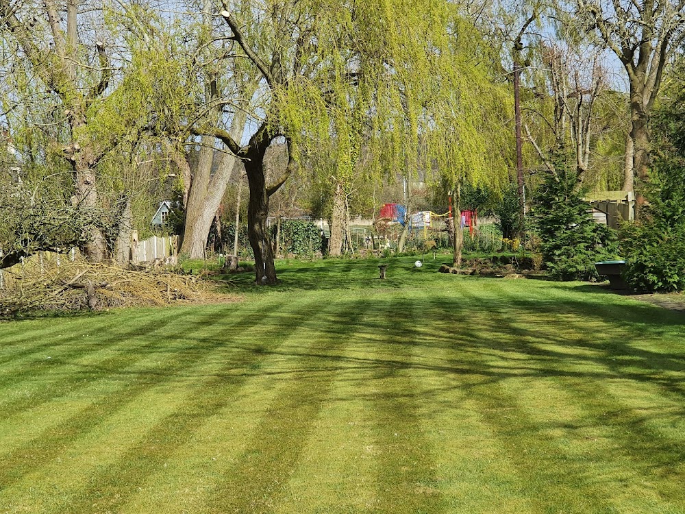 daves garden maintenance