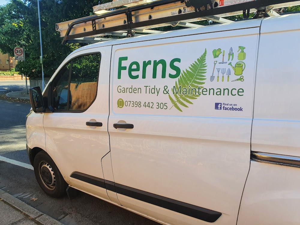 Ferns Garden Tidy & Maintenance