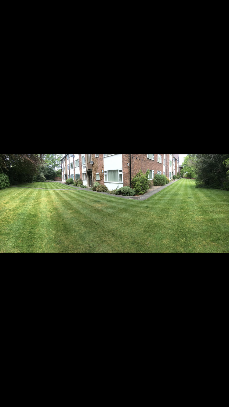 Jack’s Garden & Handyman services