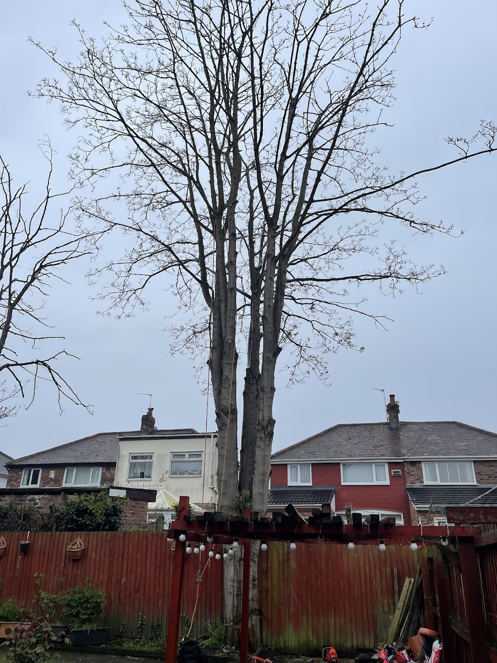 Knightwood Arborists Tree Service – Wirral Tree Surgeon’s