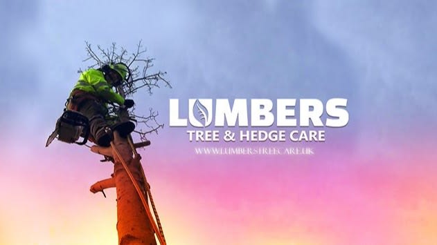Lumbers Tree & Hedge Care – Wirral, Liverpool & Chester.