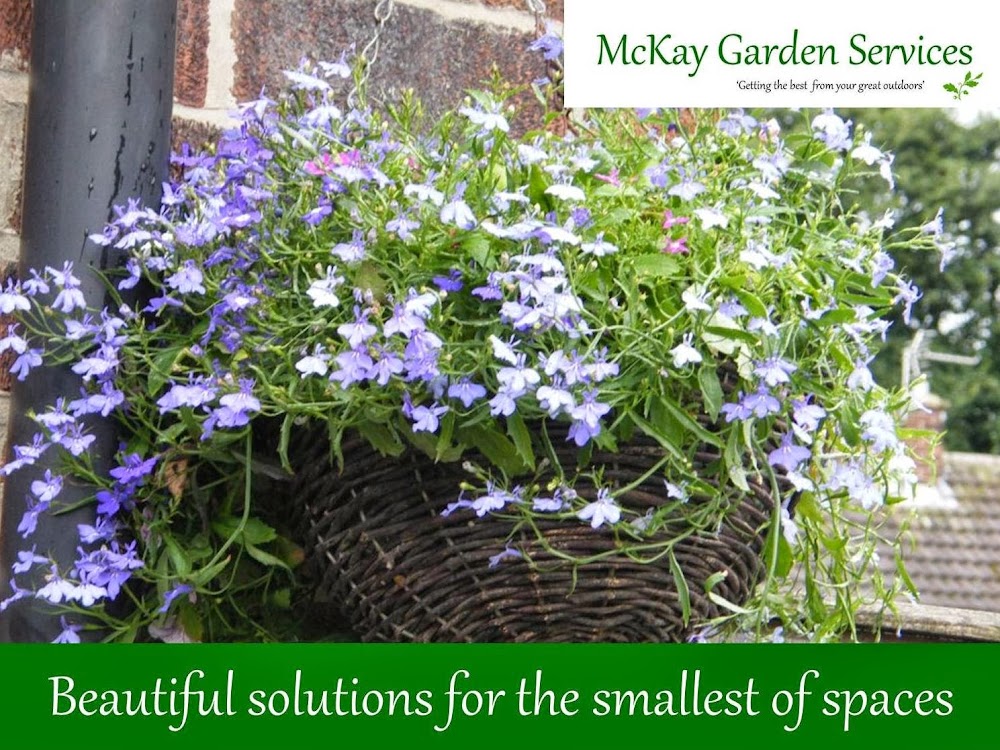 McKay Garden Services