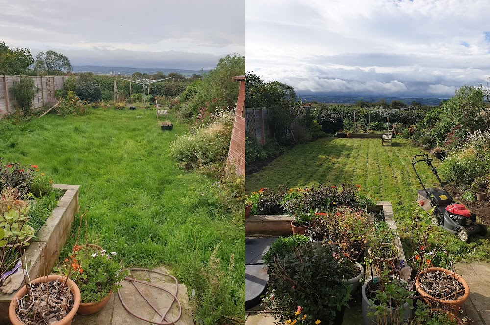 Nature’s Friend Gardening