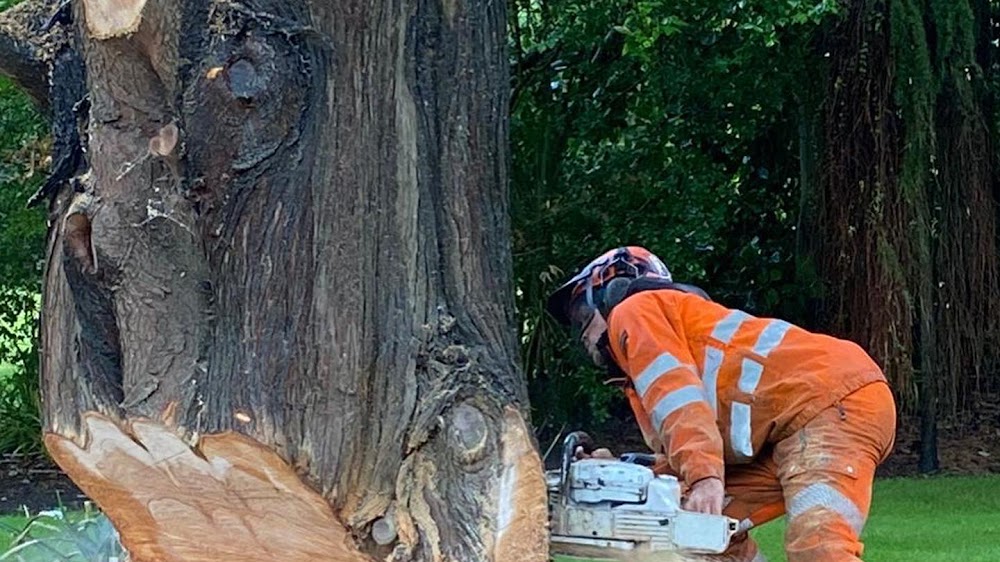 Poplar Tree Solutions Ltd