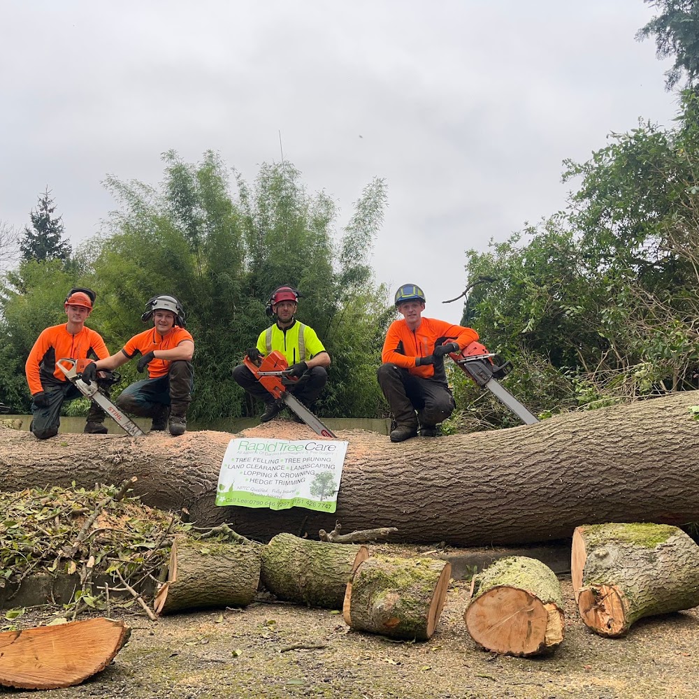Rapid tree care Liverpool ltd