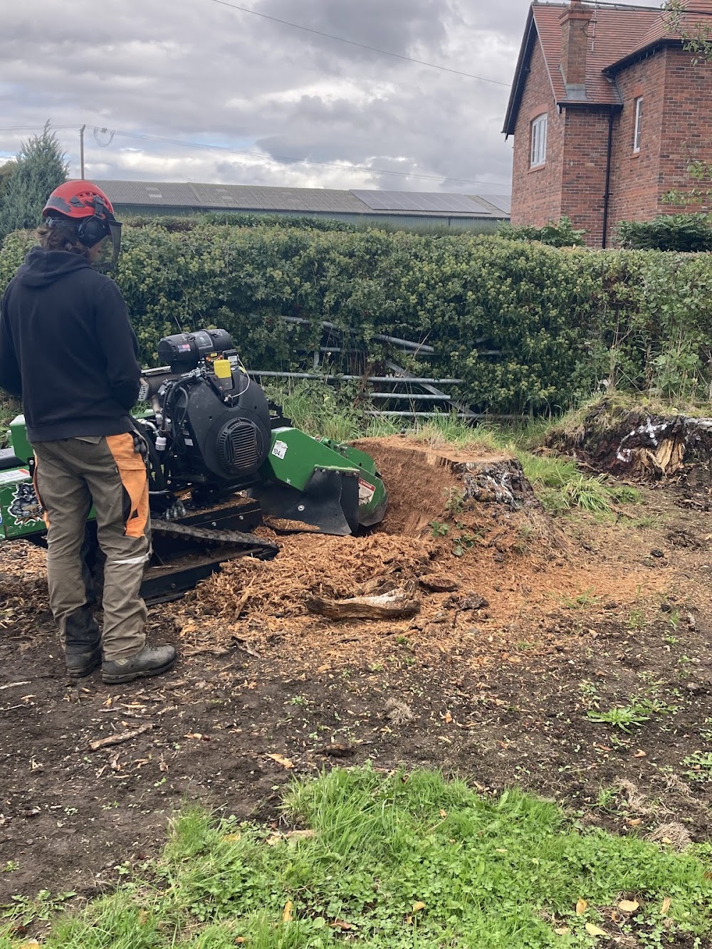 SkyHigh Tree Services