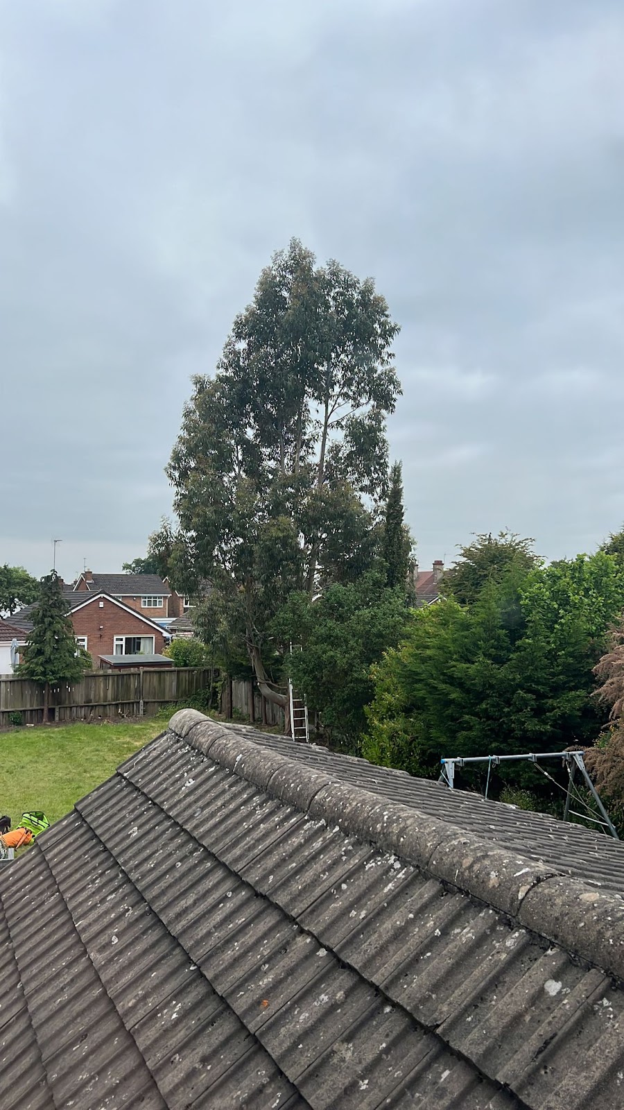 Touchwood Tree Surgery LTD