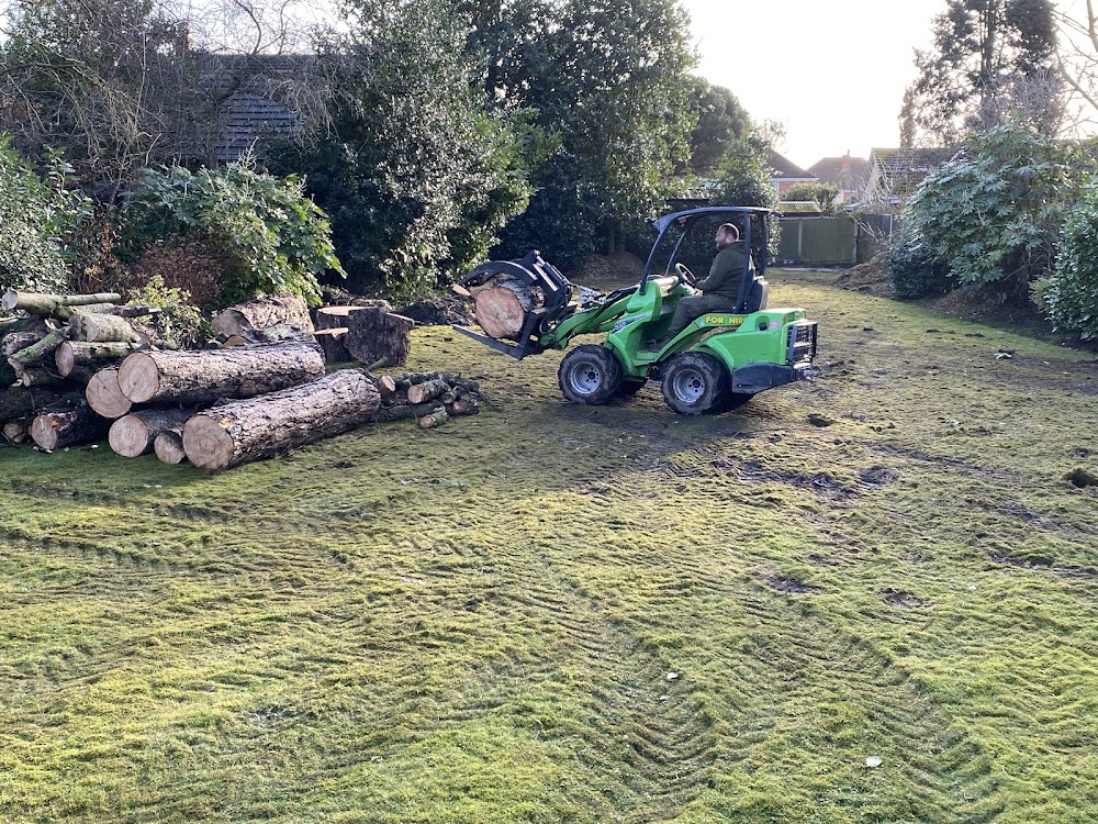 W F Tree Services