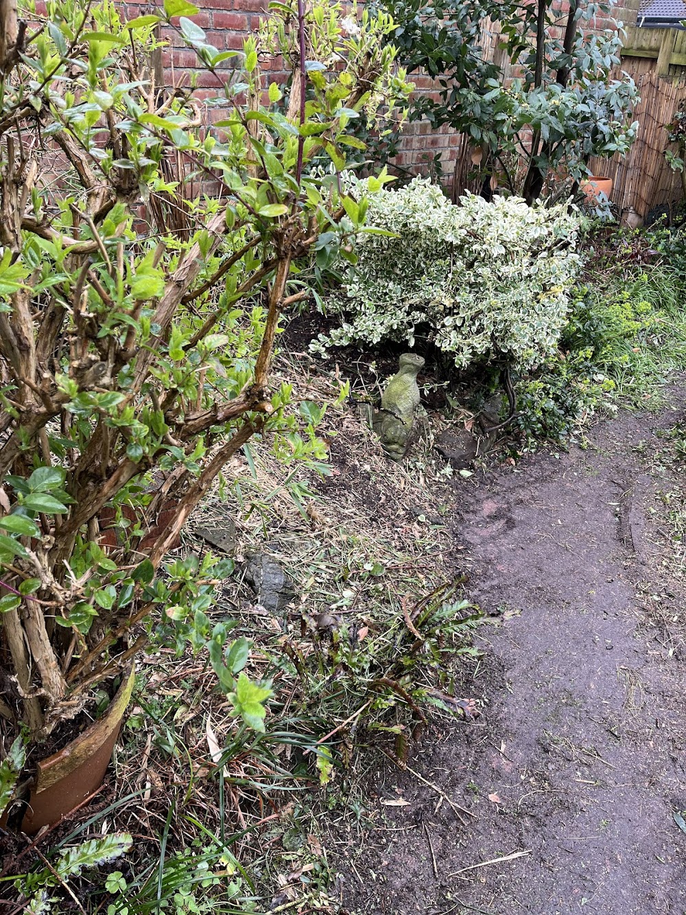 Wirral Garden Work