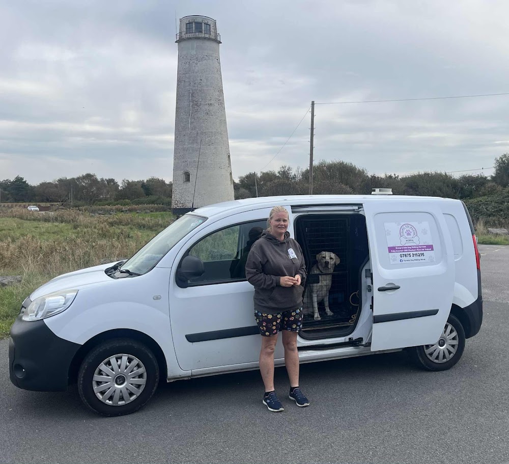 Dynamic Dog Walking & Boarding Wirral