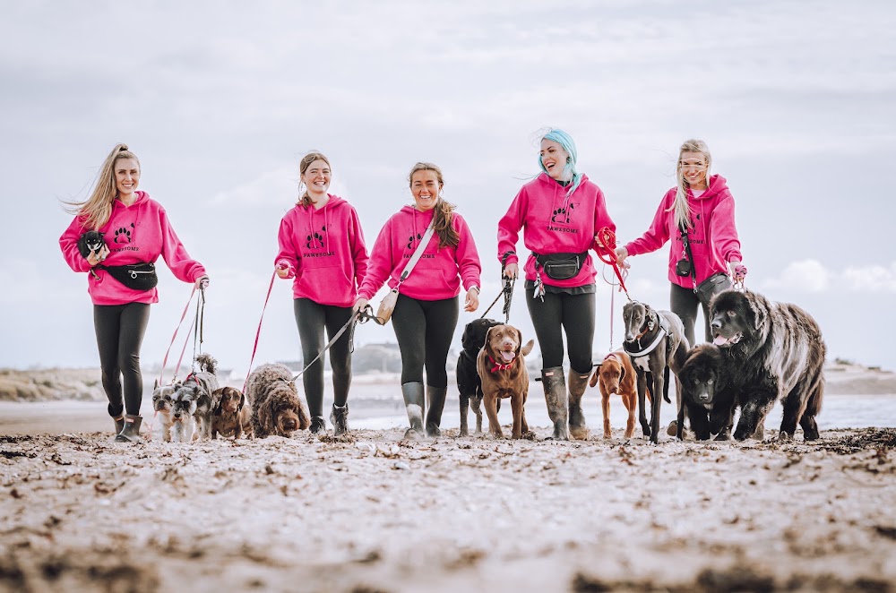 Pawesome Walkies Ltd
