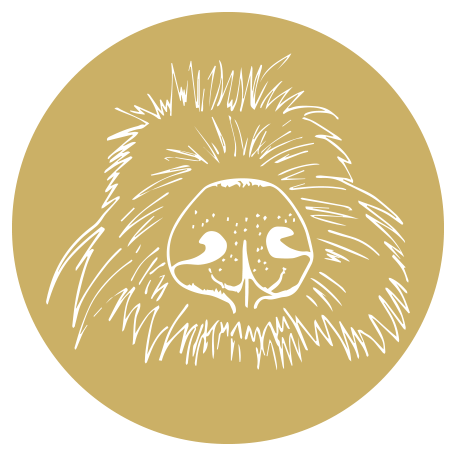 The Peninsula Pet Care